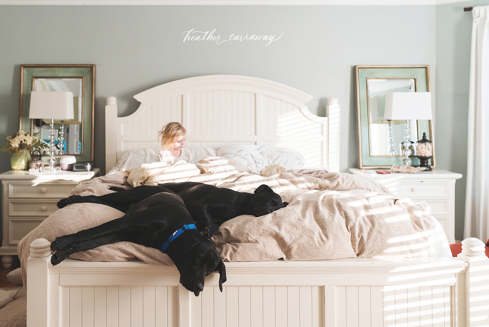 black labs and babies, atlanta photographer, smyrna lifestyle photographer