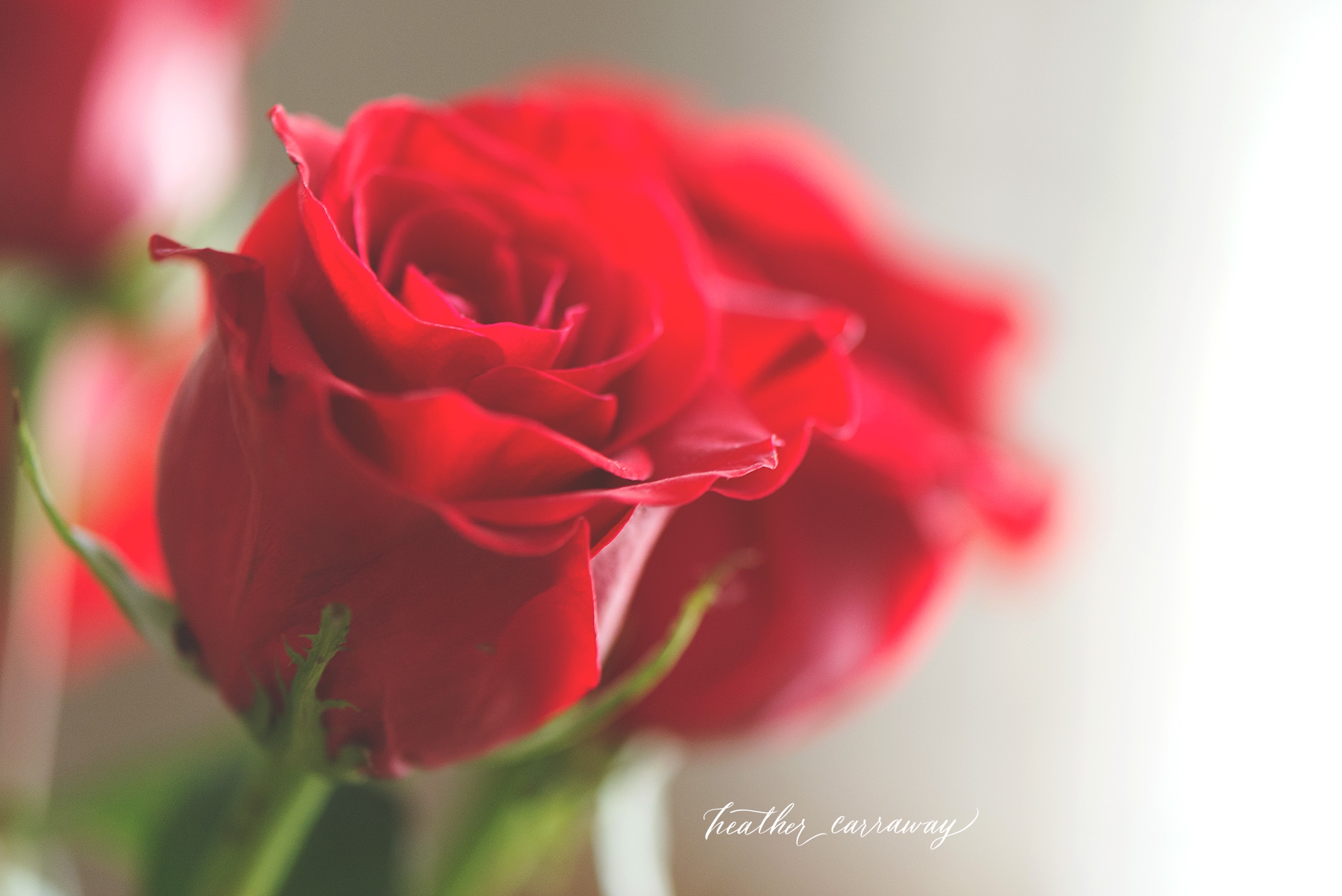 atlanta baby photographer, real life images, lifestyle documentary photography, atlanta photographer