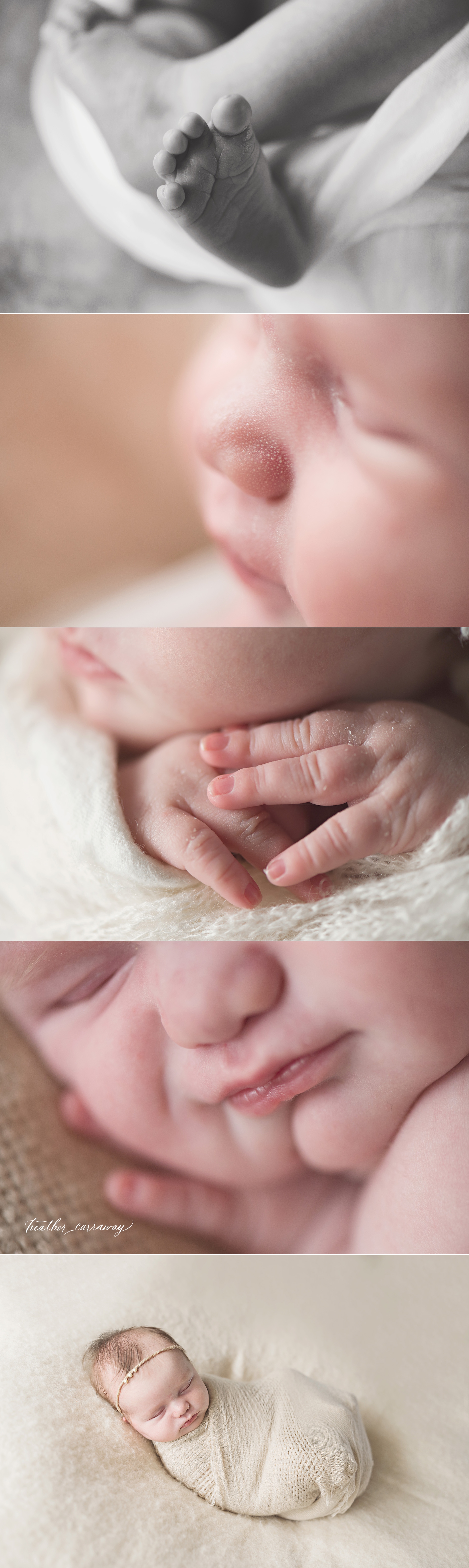 smyrna newborn photographers