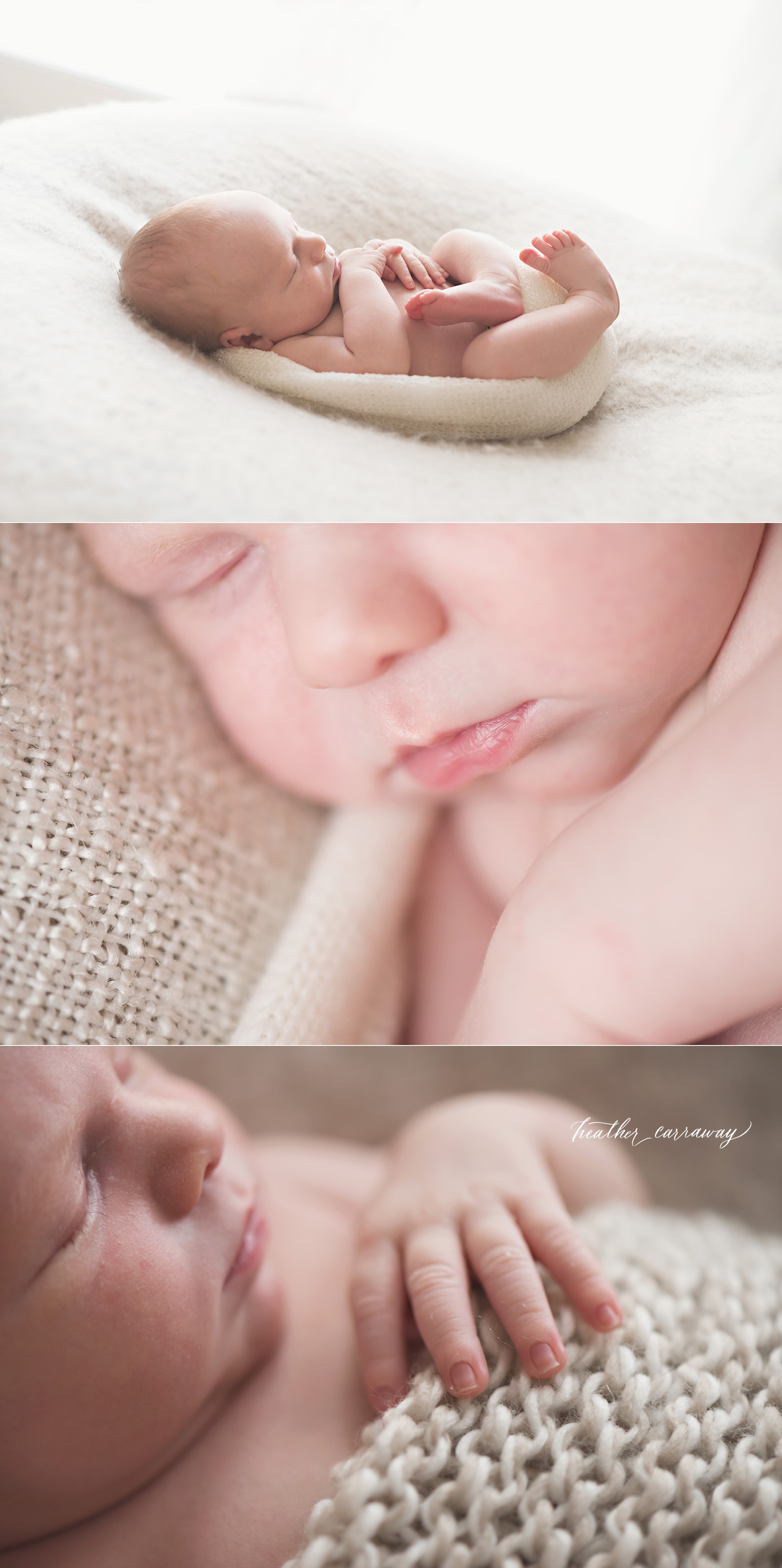 atlanta macro newborn photography