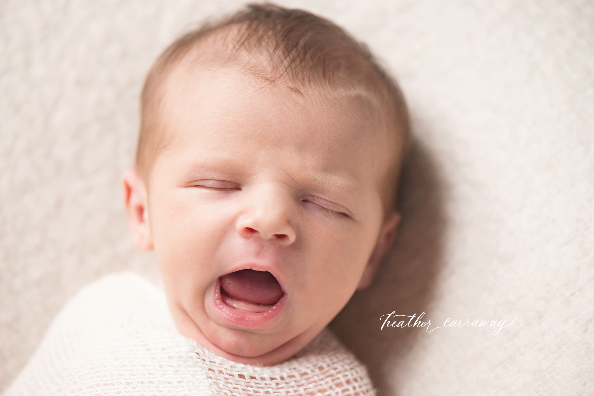 smyrna newborn photographer
