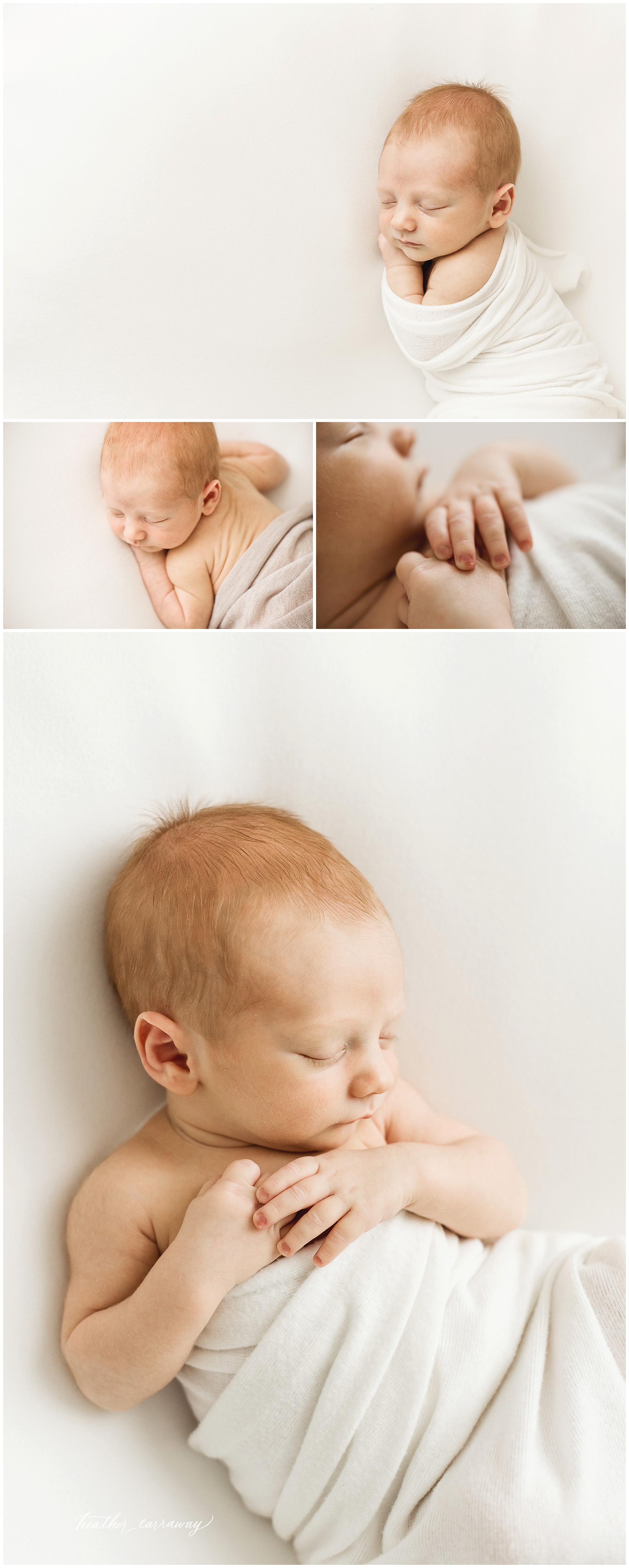 neutral tones newborn, white studio newborn